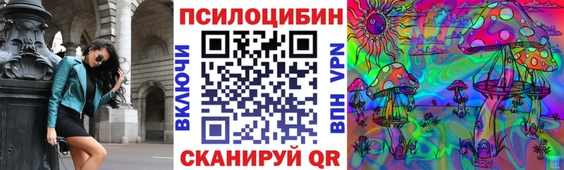 даркнет наркотические препараты  где продают   Пучеж  Галлюциногенные грибы Magic Shrooms 